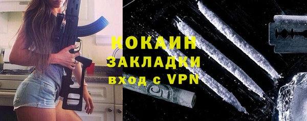 молекула духа Вязьма