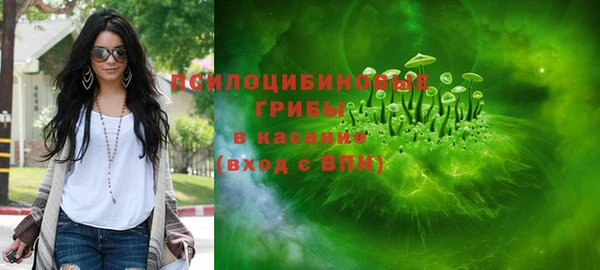 молекула духа Вязьма