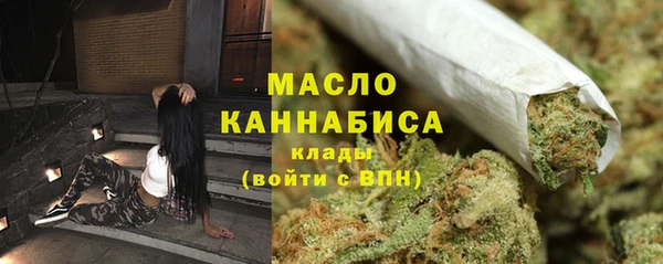 молекула духа Вязьма