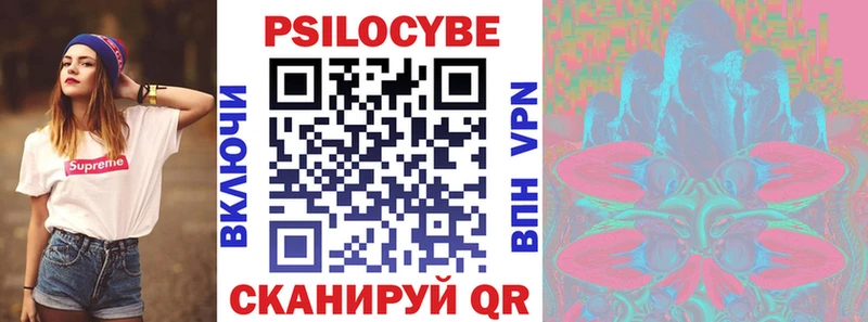 Купить где  Теберда  Псилоцибиновые грибы Cubensis 