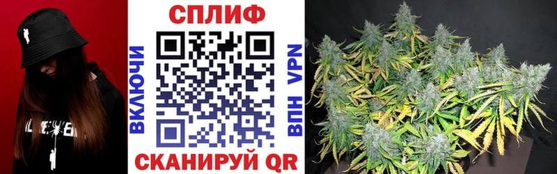 Купить закладки  Теберда  Конопля White Widow 